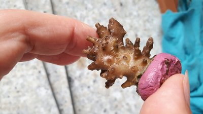 IMG-20170804-WA0002.jpg