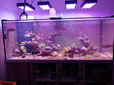 IMG_20170803_191918.jpg