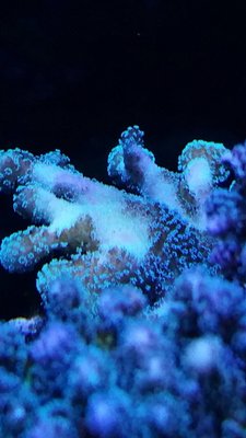 IMG_3674.JPG