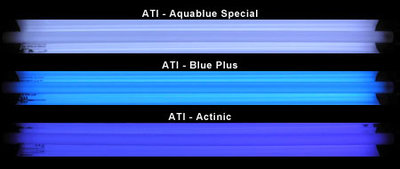 20130112-ati-color.jpg