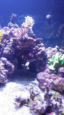 IMG-20171010-WA0000.jpg