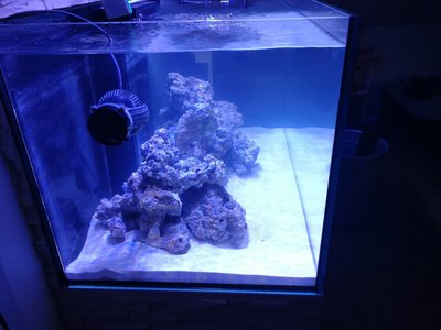 IMG_20171022_114112.jpg
