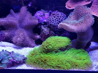 20171030_185317-1612x1209.jpg