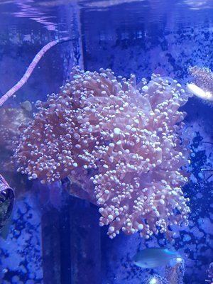 20171030_185258-1209x1612.jpg