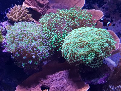 20171029_171253-1612x1209.jpg