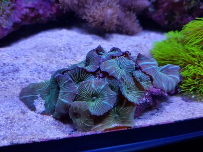 20171029_171207-1612x1209.jpg