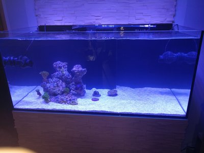 IMG_20171031_150833.jpg