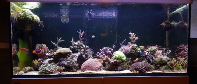 IMG-20171031-WA0001.jpg