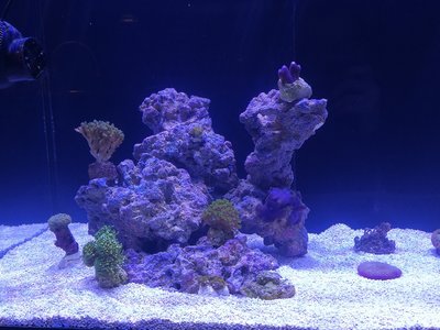 IMG_20171101_163808.jpg