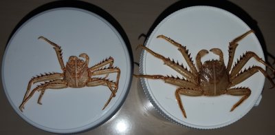 20151005_210419.jpg