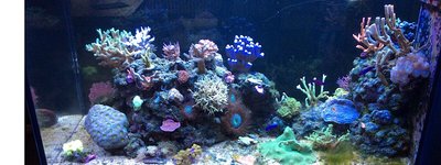 IMG_546.jpg