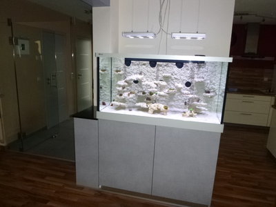 P1020561.JPG