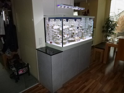 P1020566.JPG