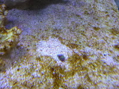 P1020570.JPG