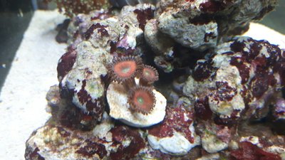 IMG-20170622-WA0006.jpg